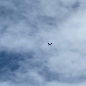 Meet your Posher, Sasha